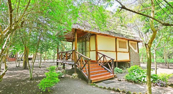 Ishasha Jungle Lodge