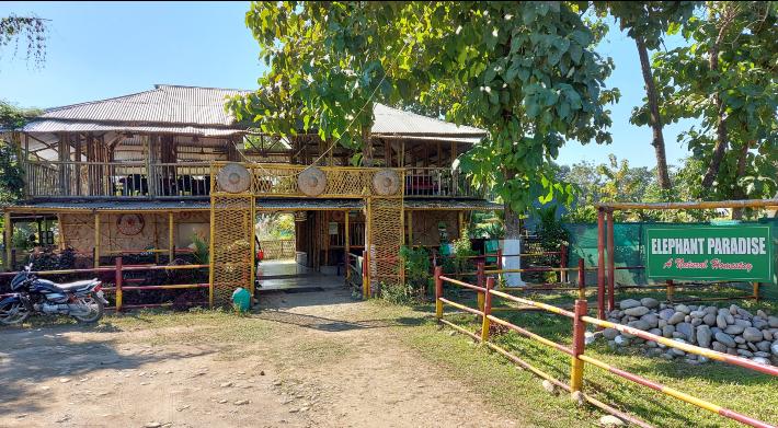 Elephant Paradise